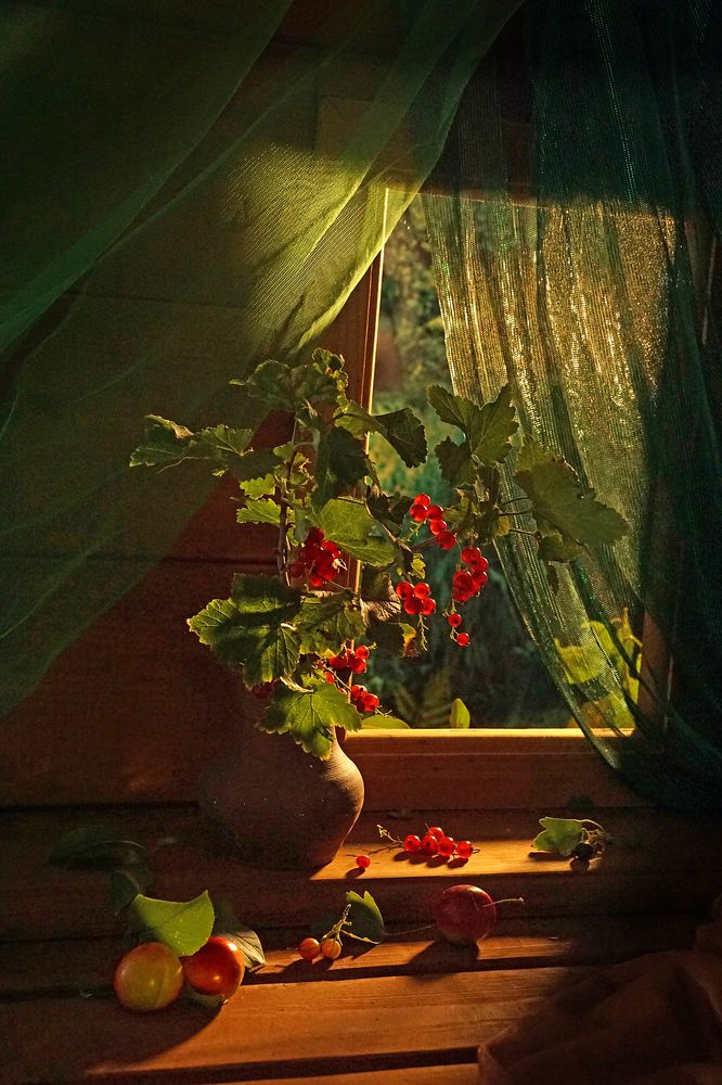 Photograph by Ольга Пуховникова