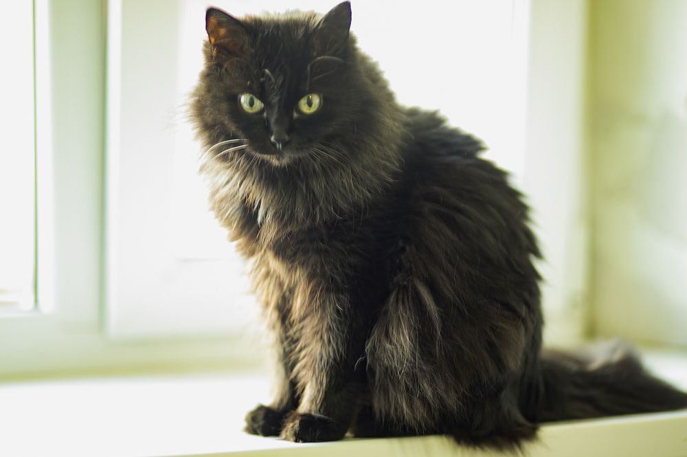 Photograph by Борис Абдуллин