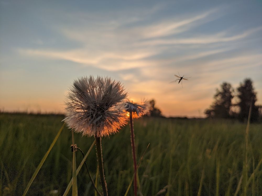 Photograph by Артур Крематорин