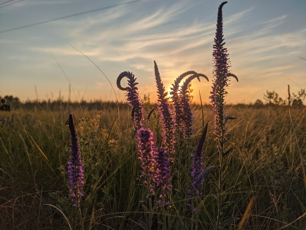 Photograph by Артур Крематорин