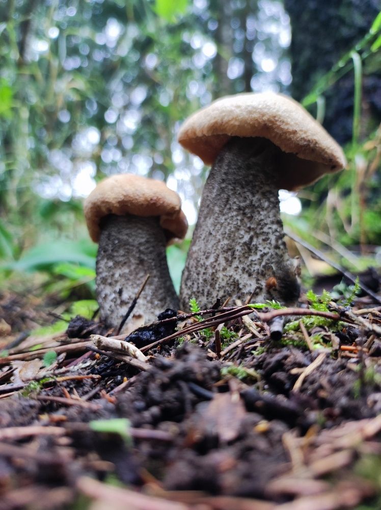 Фотография автора Elena