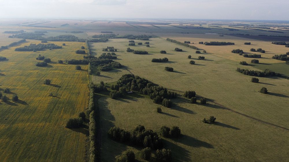 Photograph by Артур Крематорин