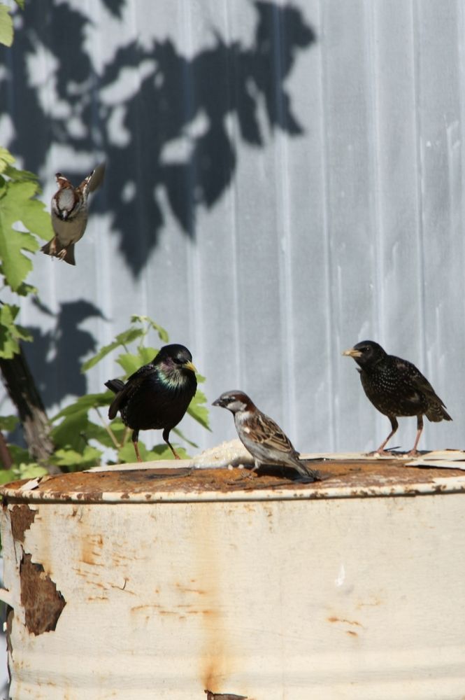 Photograph by Ирина Тихая