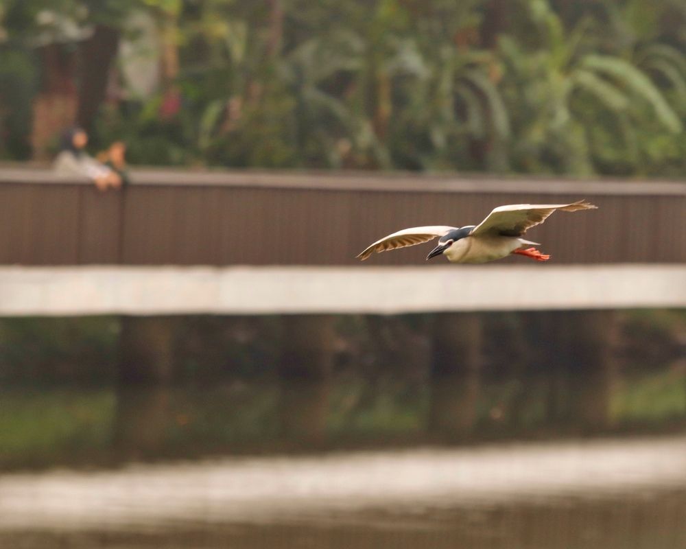 Фотография автора Washiful Majid