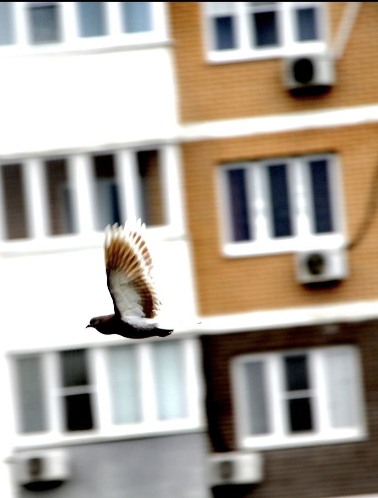 Photograph by Ирина Тихая