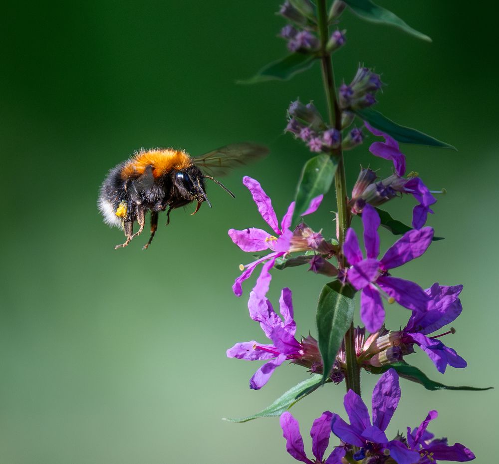 Photograph by Курлянцев Алексей