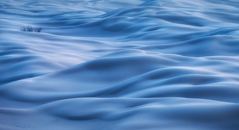 Photograph by Василий Яковлев