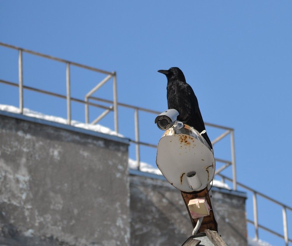 Photograph by Ения Семина