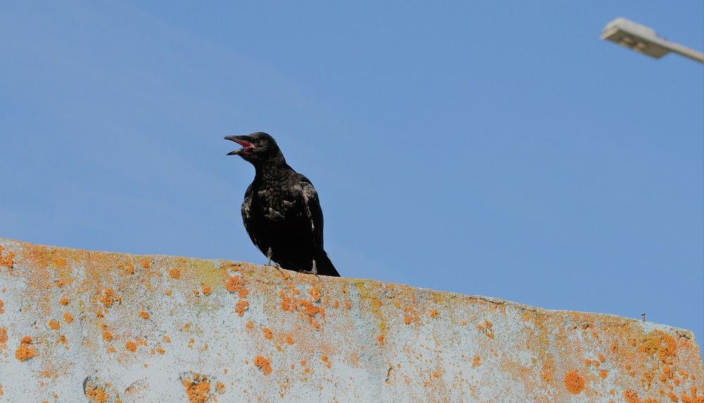 Photograph by Ения Семина