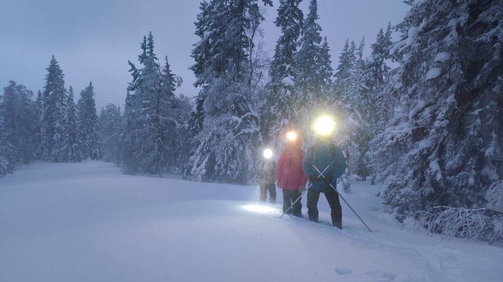 Photograph by Сергей Межин