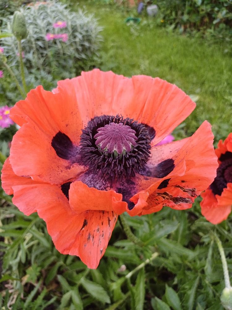 Photograph by Елена Каширина