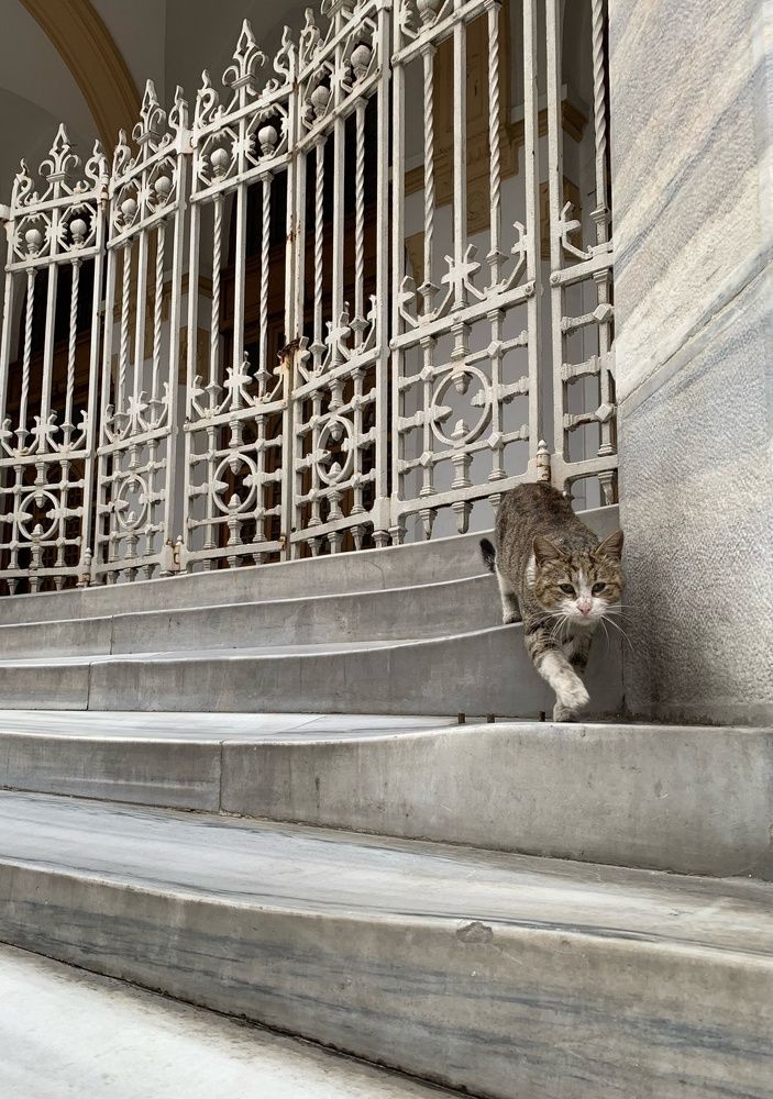 Photograph by Евгений Бирюков