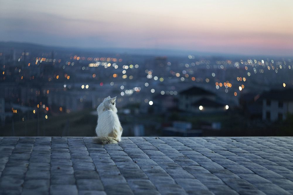 Photograph by Valentina Kostromina