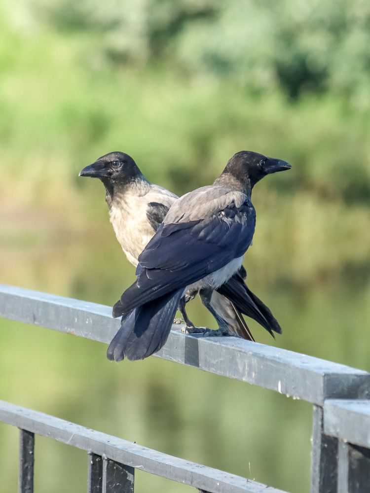 Photograph by Владимир Крылов