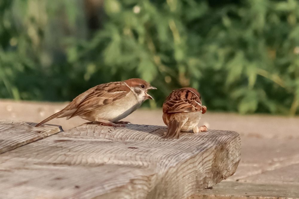 Photograph by Владимир Крылов