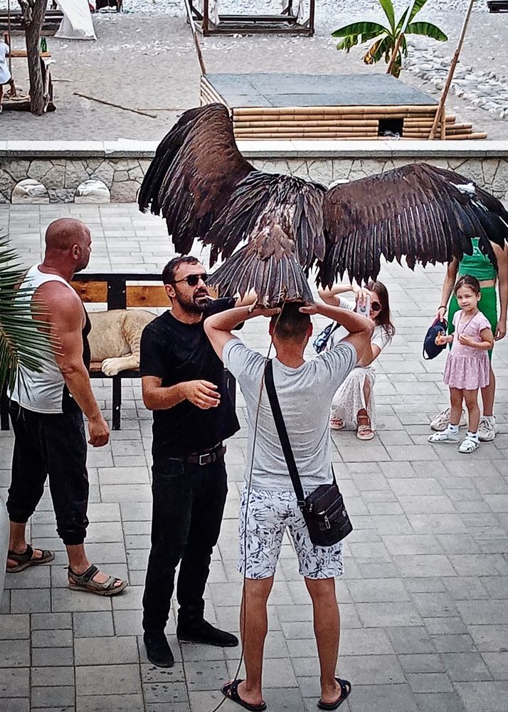 Фотография автора Светлана Зубанова