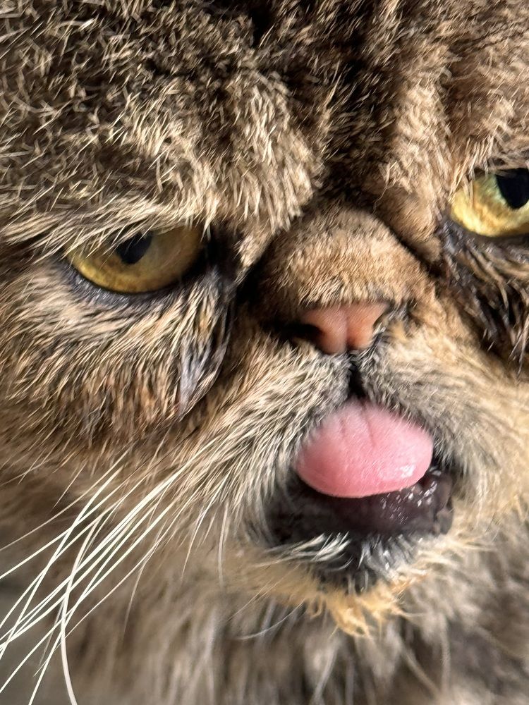 Photograph by Liudmila