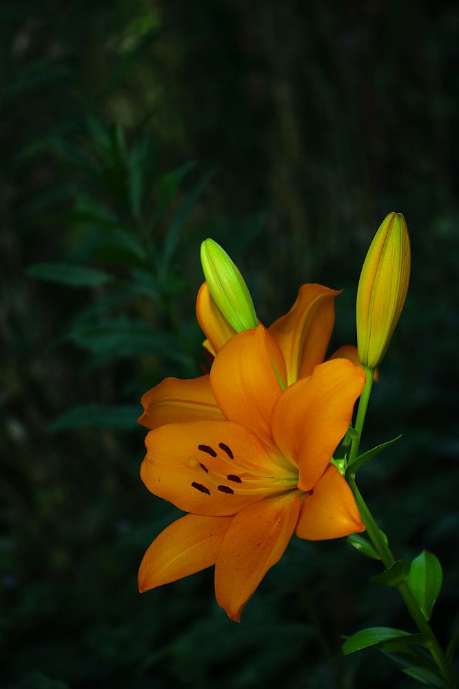 Photograph by Гагик Саркисян