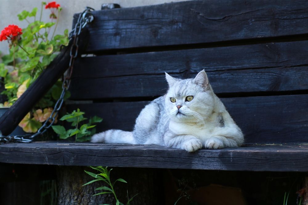 Photograph by Светлана Богомолова