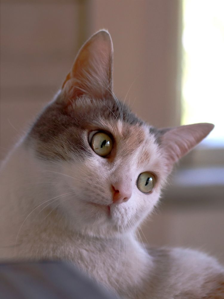 Photograph by Светлана Богомолова