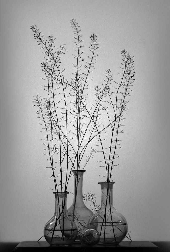Photograph by 