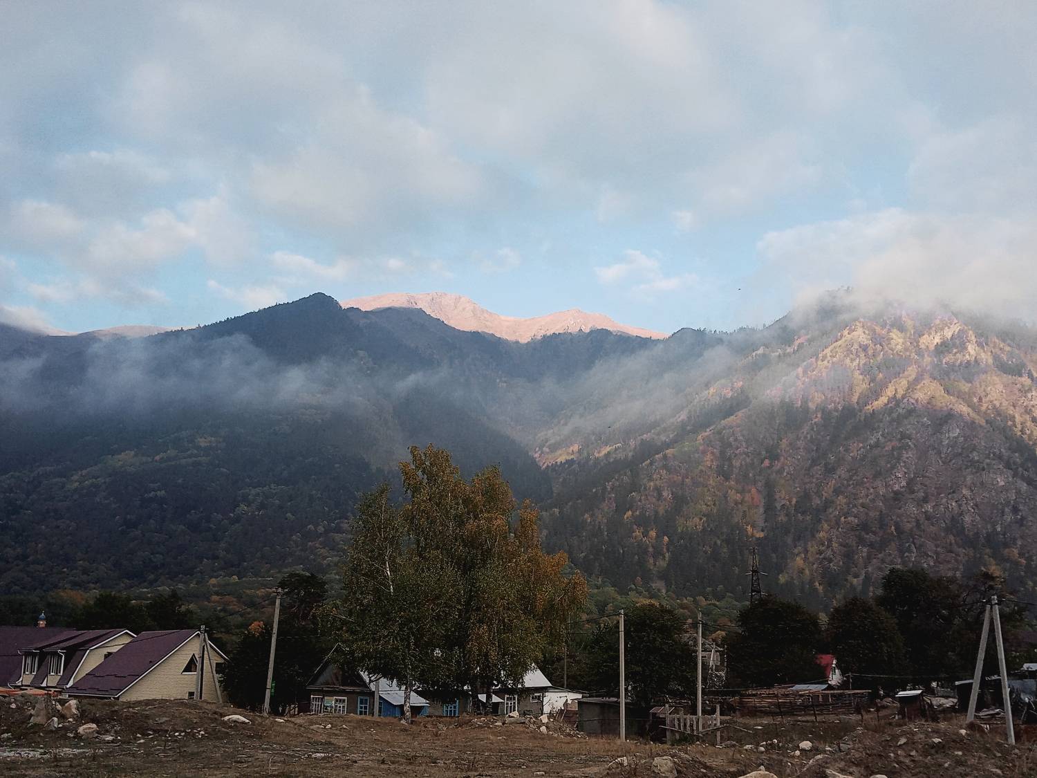 Photo #10789616