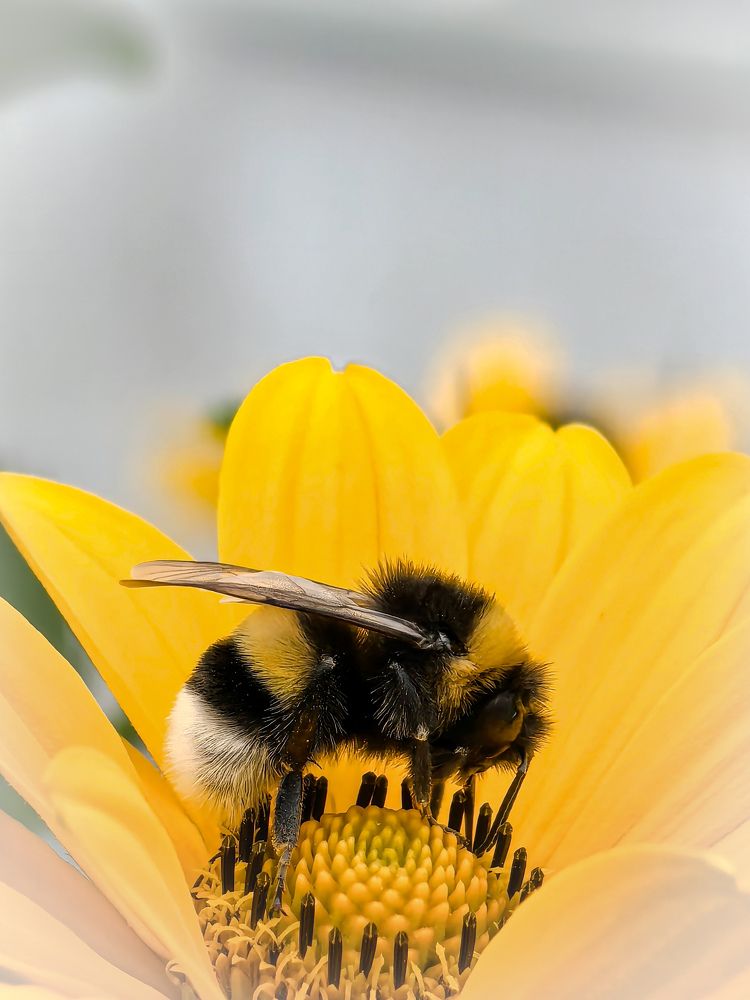 Фотография автора Юра Кладухин
