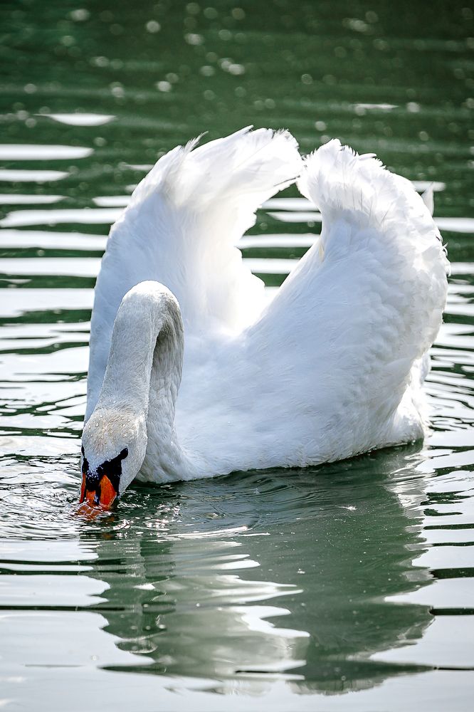 Photograph by Дмитрий Казачек