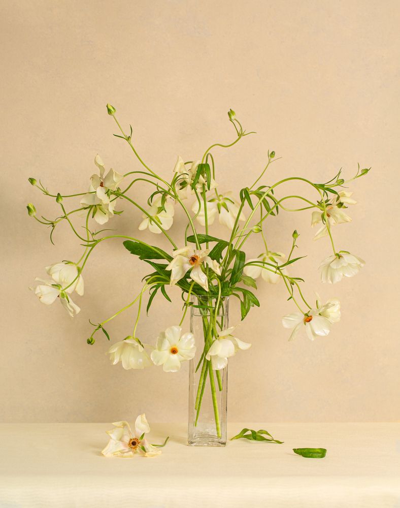 Photograph by Елена Бородина