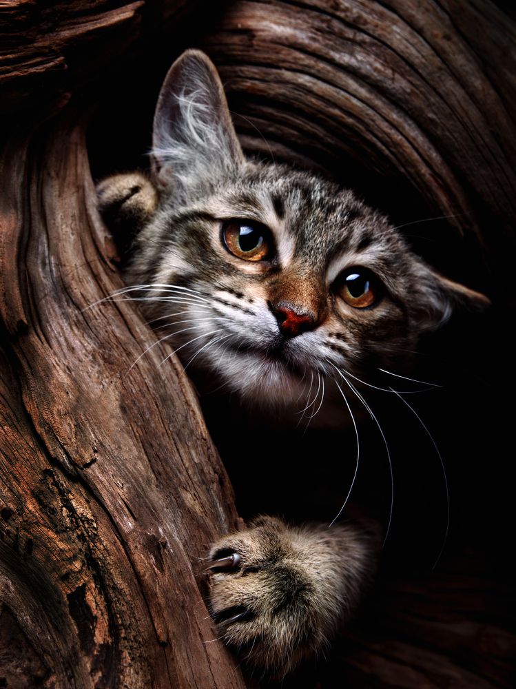 Photograph by Evgeniy Savikov