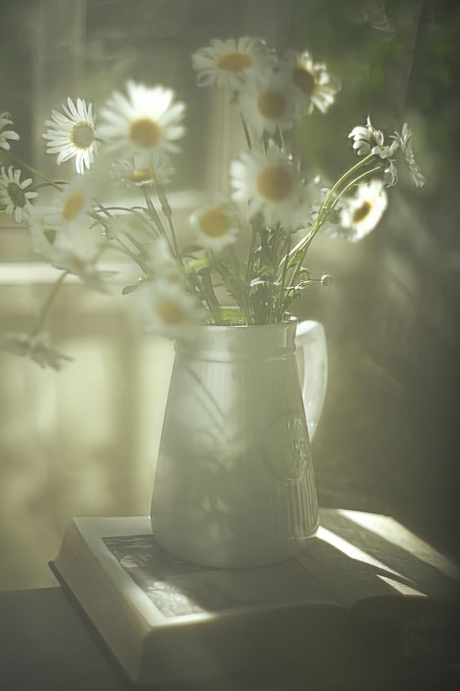 Фотография автора Елена Разина