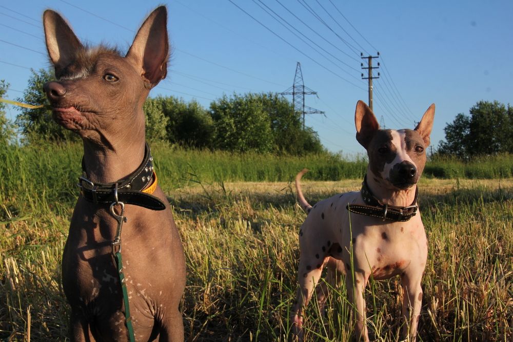 Photograph by Валерия Николаева