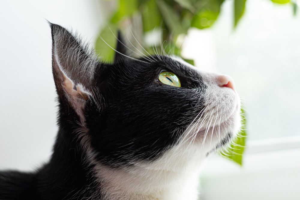 Photograph by Lyuba Moon