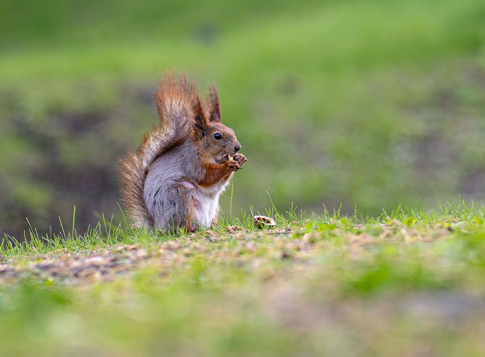 Фотография автора Дмитрий Кетов