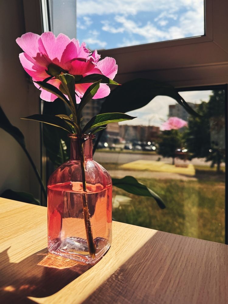 Фотография автора Елена Поживилко