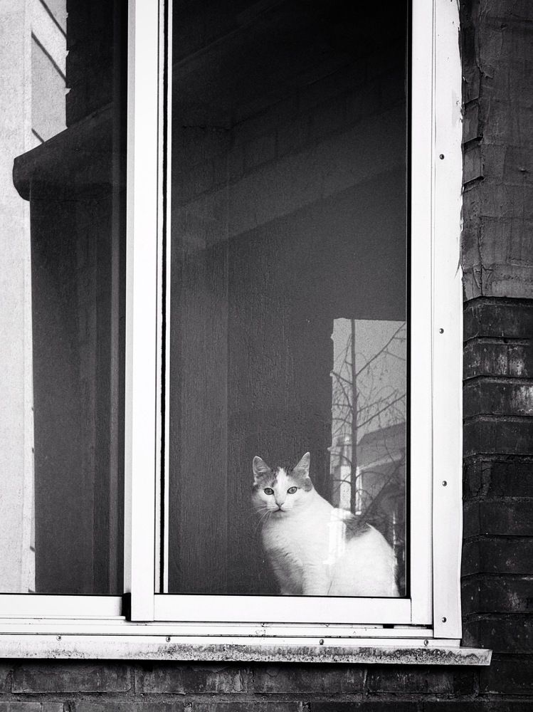 Фотография автора Елена Поживилко