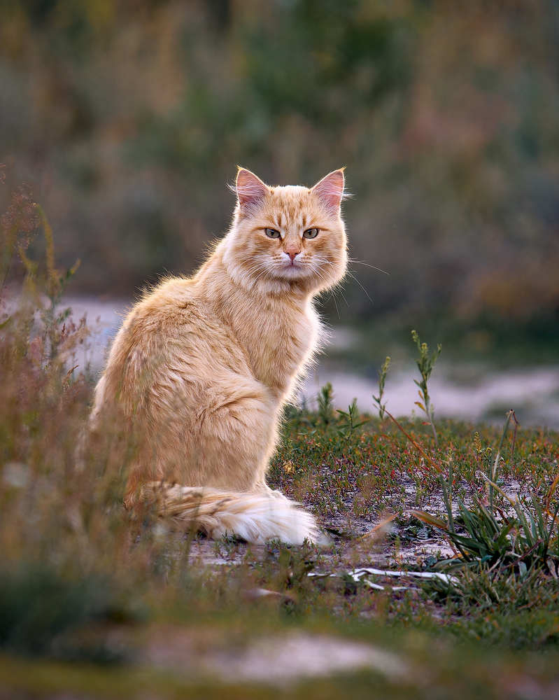 Photograph by Mikhail Khmelevskiy