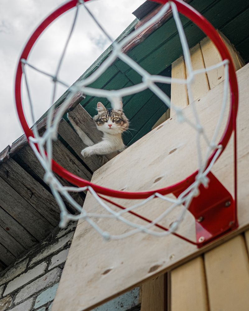 Photograph by БОРИС БЕЛКАНИЯ