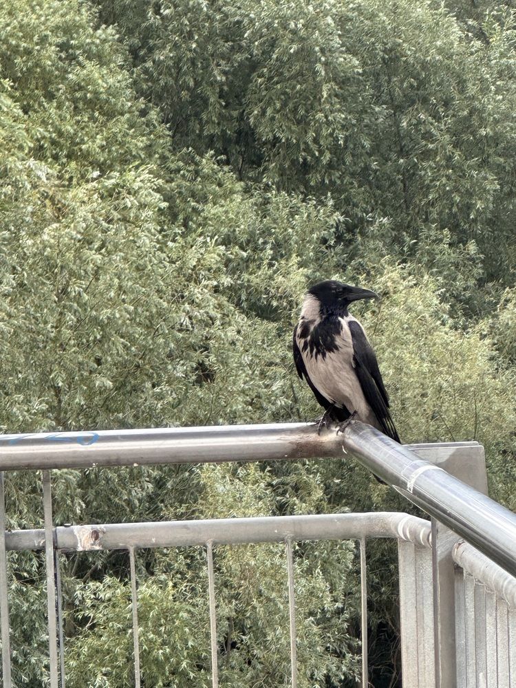 Photograph by Наумова Татьяна