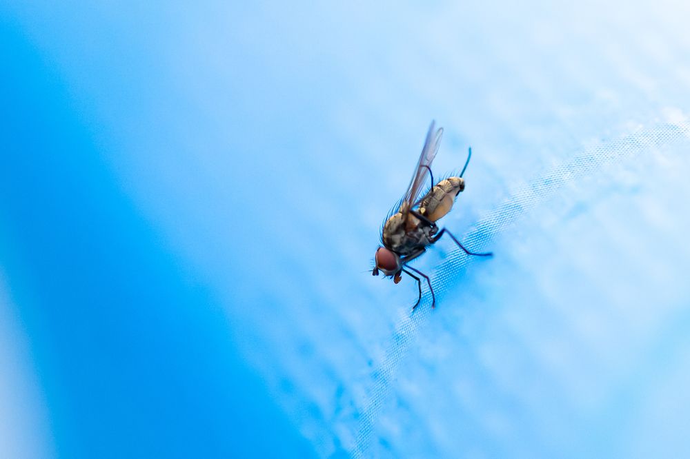 Photograph by Анна Оськина