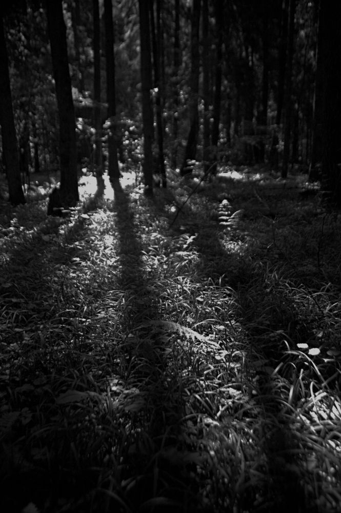 Photograph by Александр Макаренко