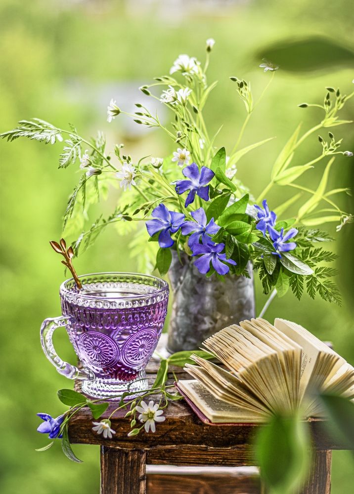 Photograph by Ольга Семина