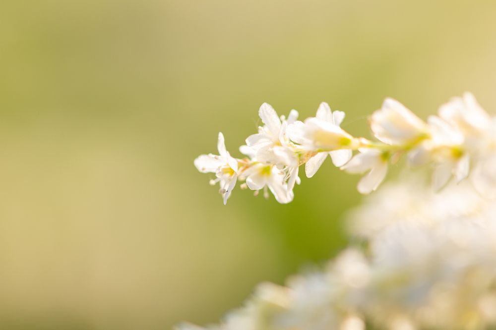 Photograph by Александр Коковихин