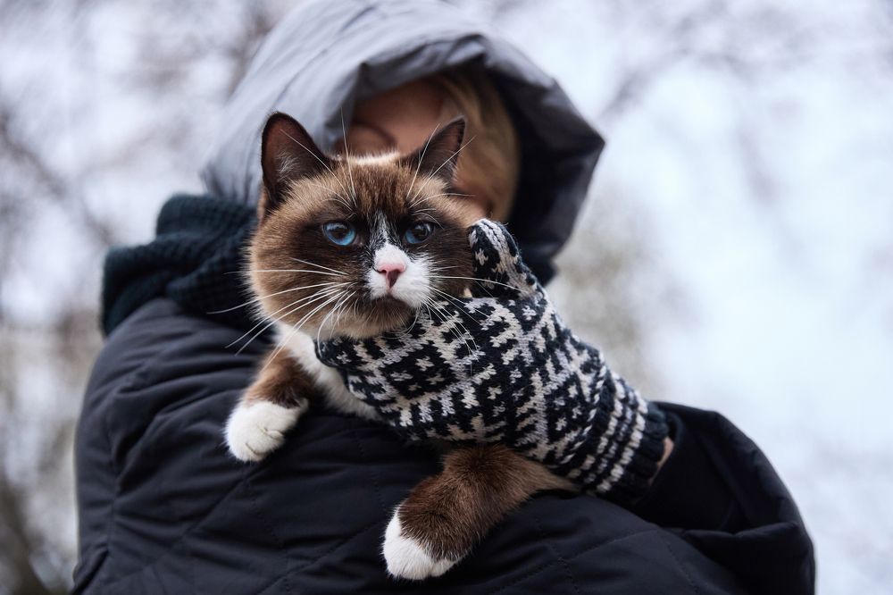 Photograph by Воробьев Вячеслав