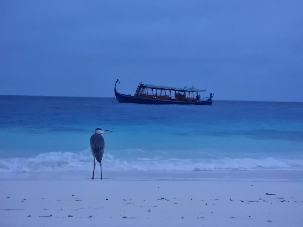 Фотография автора Alex Kazakov