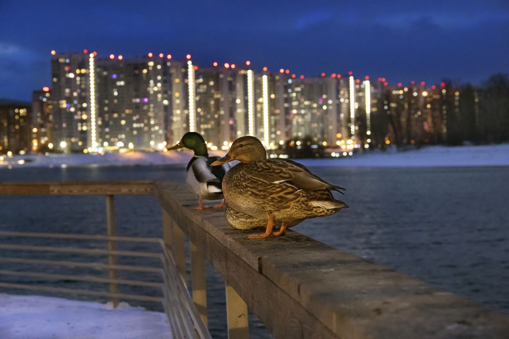 Photograph by Мария