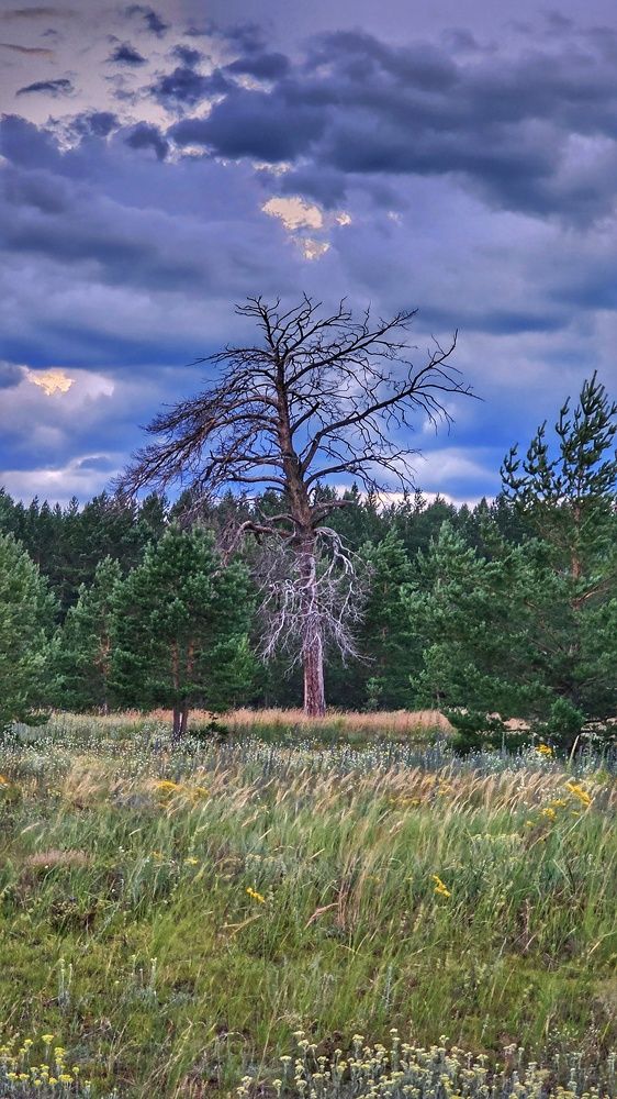 Photograph by Ольга Веселова