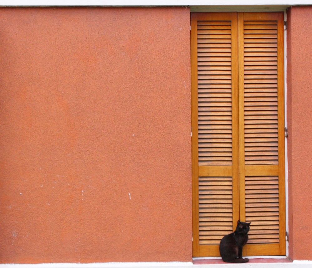 Photograph by Jorge Bagnuoli