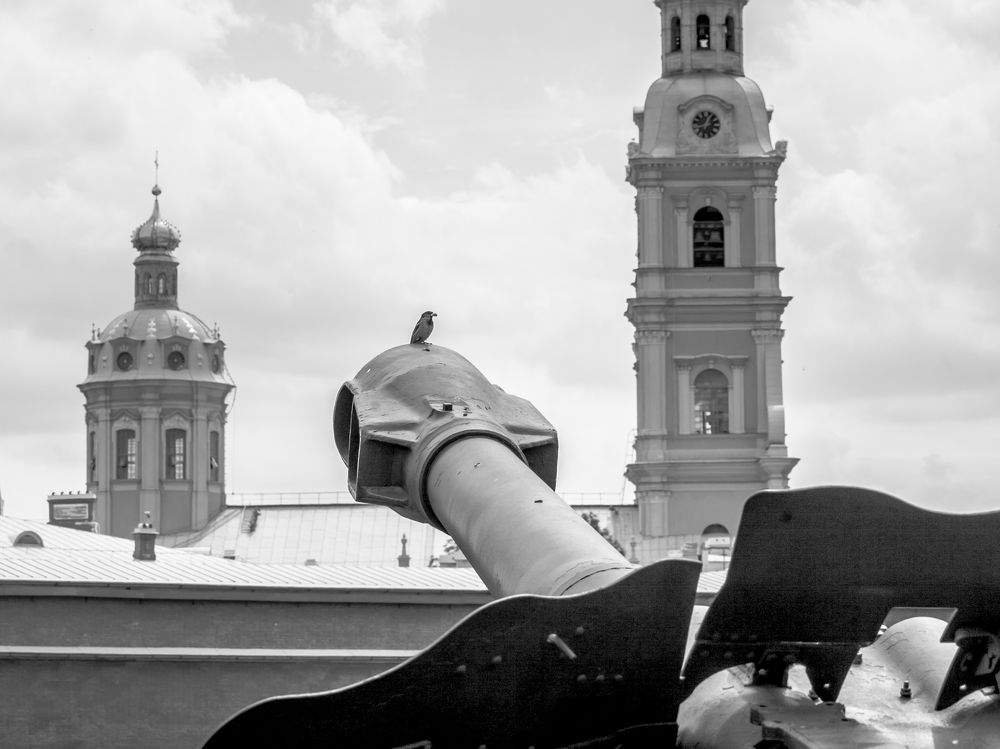 Photograph by Nikolai Osokin