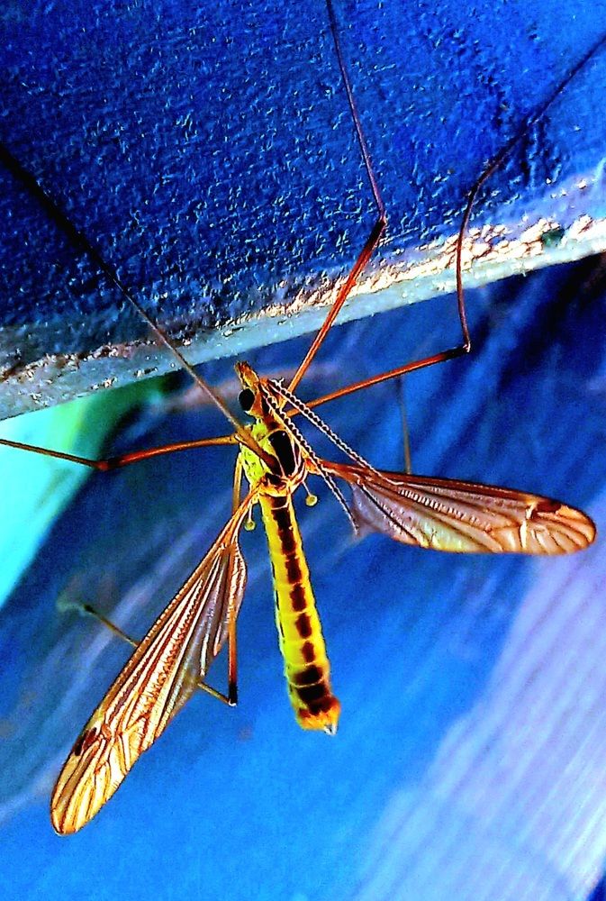 Photograph by Евгений Савулькин